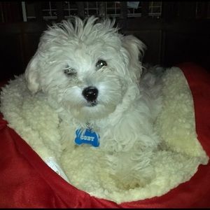 Meet your Posher, Mckayla